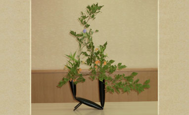 着付けのイメージ